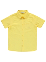 Picture of YELLOW Boys-Shirt-10-11-12-13 YEAR  (1-1-1-1) 4