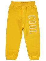 Picture of Wholesale - Civil Boys - Mustard - Boys-Track Pants-2-3-4-5 Year (1-1-1-1) 4 Pieces 