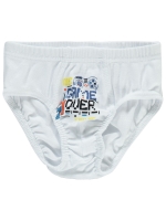 Picture of Wholesale - Civil Boys - Standard - Boy-Panties-2 Year (Of 4) 4 Pieces 